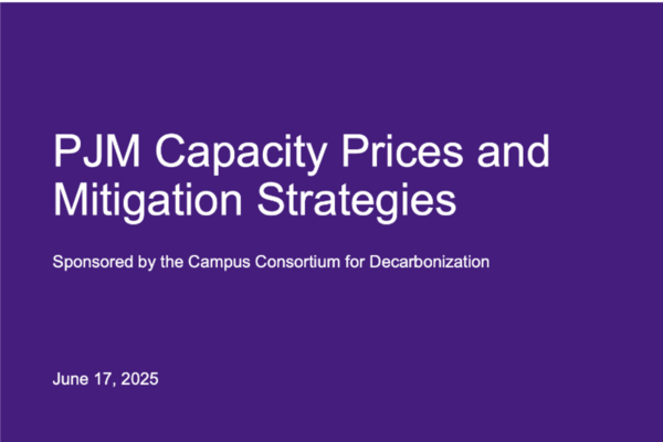 PJM Capacity Prices and Mitigation Strategies